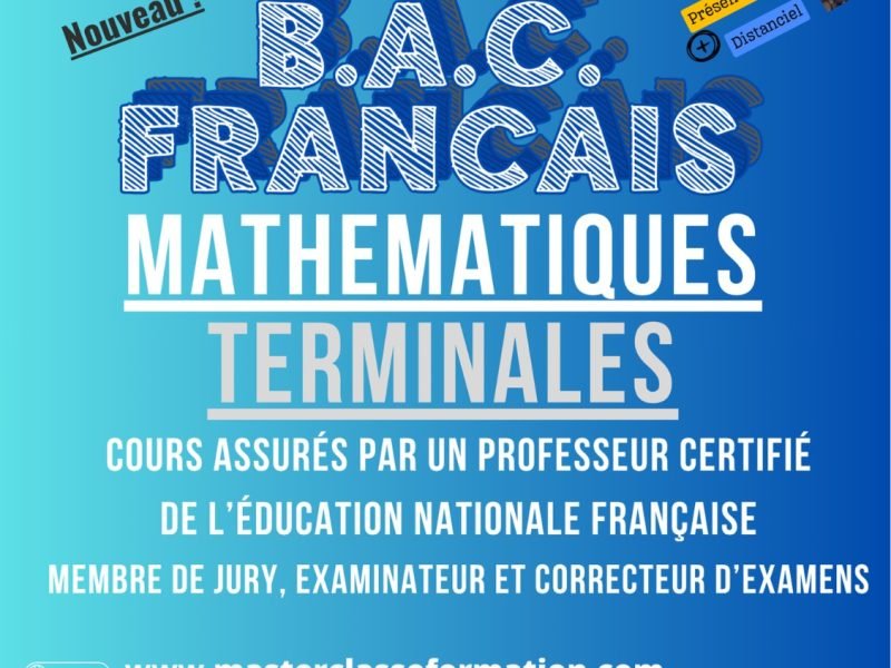 Soutien scolaire en groupe ou individuel à Dely Ibrahim et distanciel
