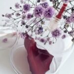 Consultation de Naturopathie selon la médecine prophétique