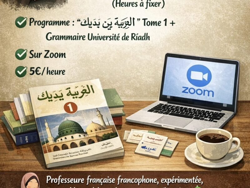 Professeure de langue arabe dynamique, patiente et motivante